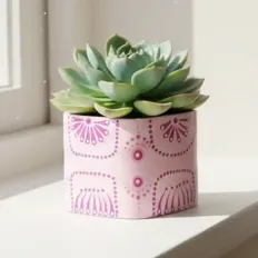 Pembe sukulent saksısı