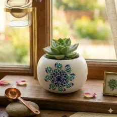 mandala desenli sukulent saksı